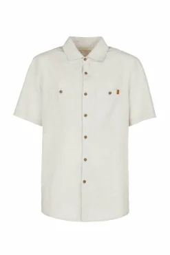 Kiwi|E9 Best Sale