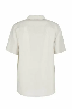 Kiwi|E9 Best Sale